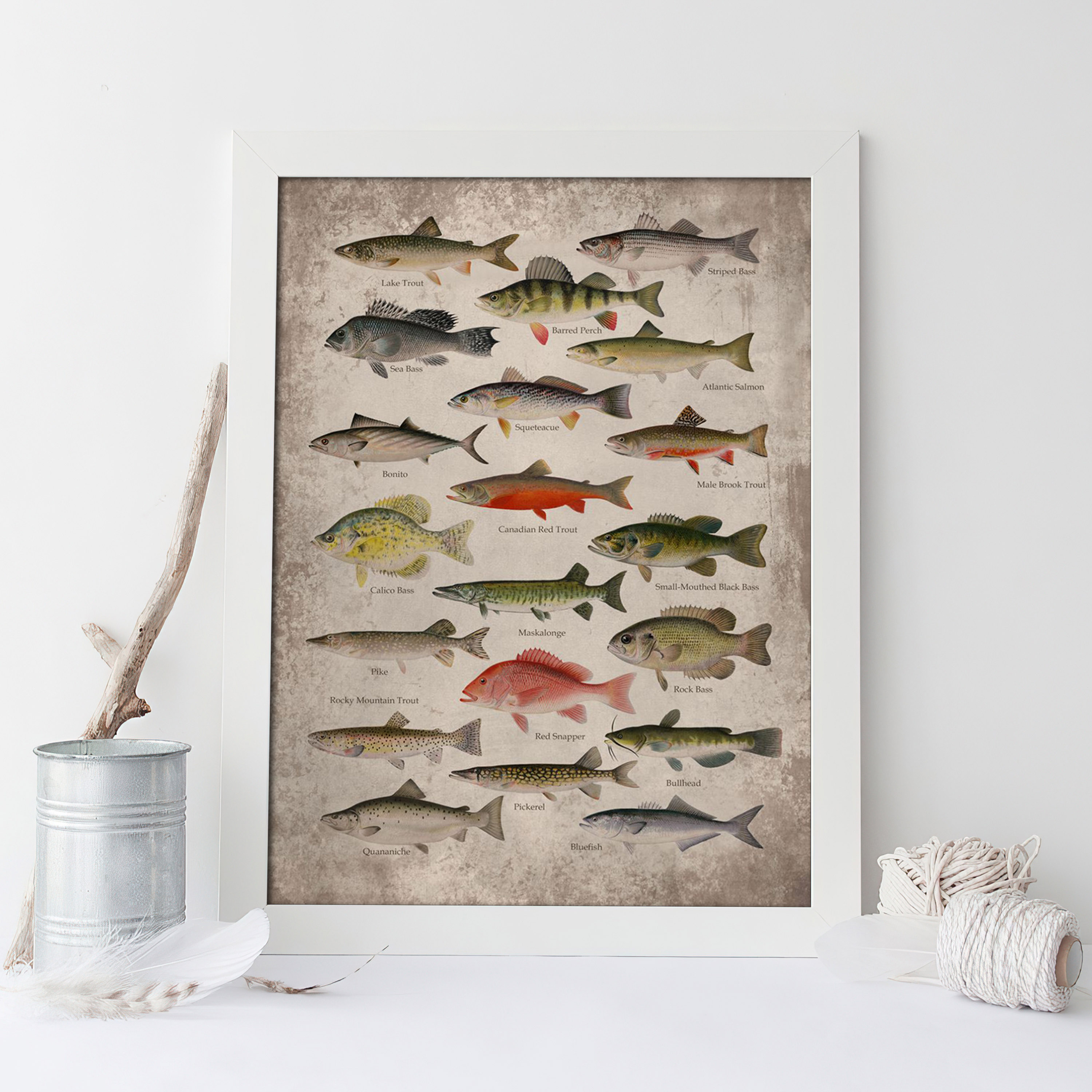 Unframed Canvas Poster Fish Art Print Bass Perch Pike - Temu