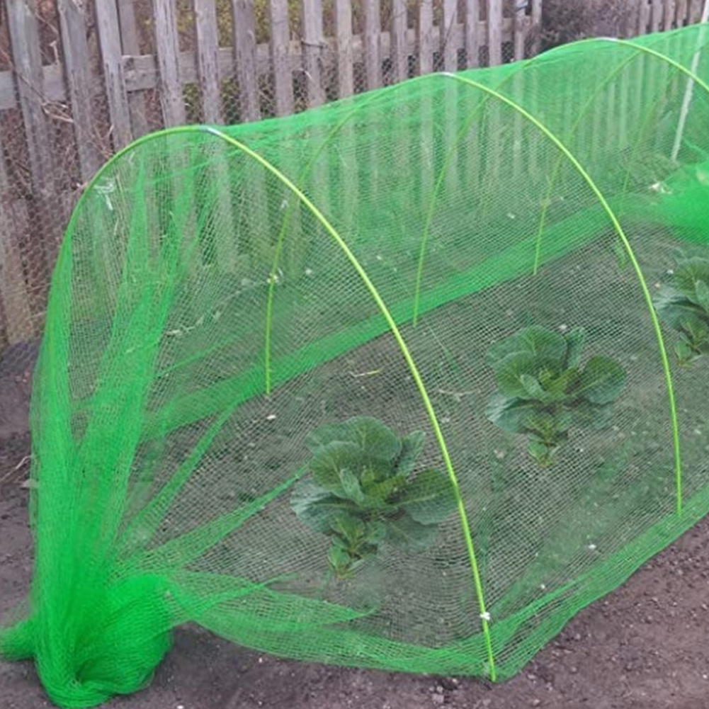 Garden Vegetable Insect Anti Bird Net Vegetable Protection - Temu