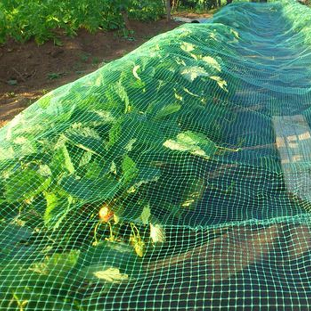 6 Top Benefits of Using Anti-Insect Nets - Mazero agrifood company