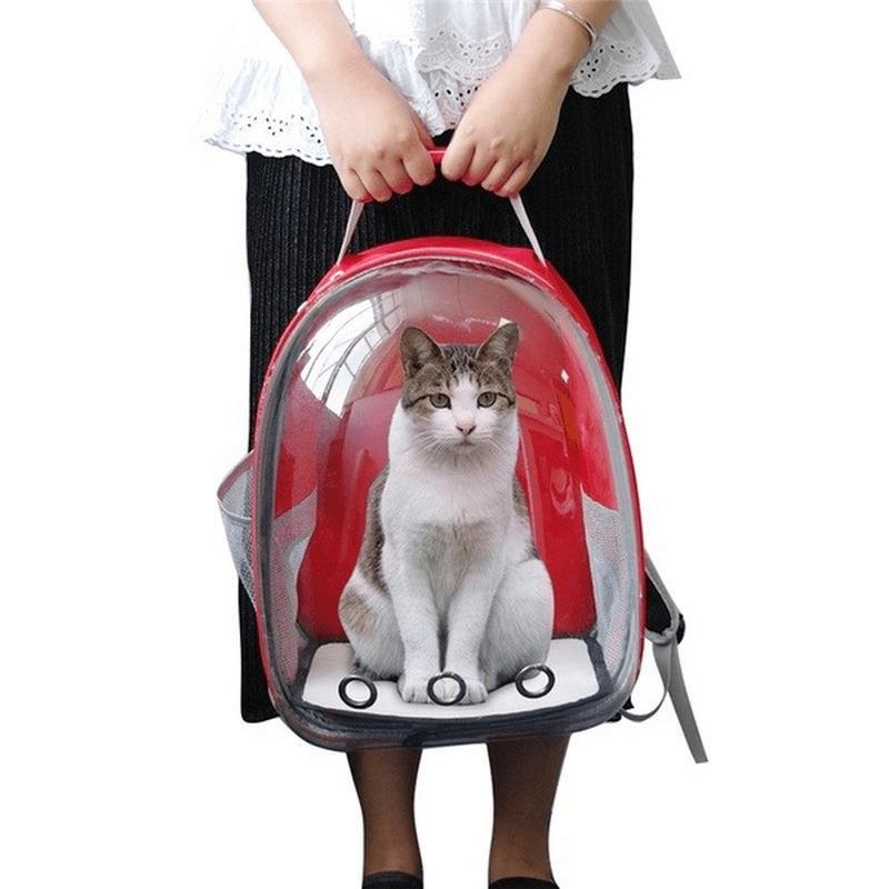 Cage de transport en capsule pour chat