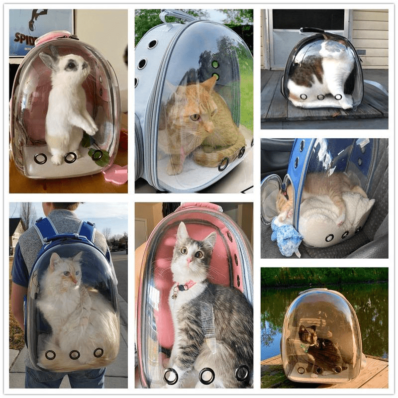 Cage de transport en capsule pour chat