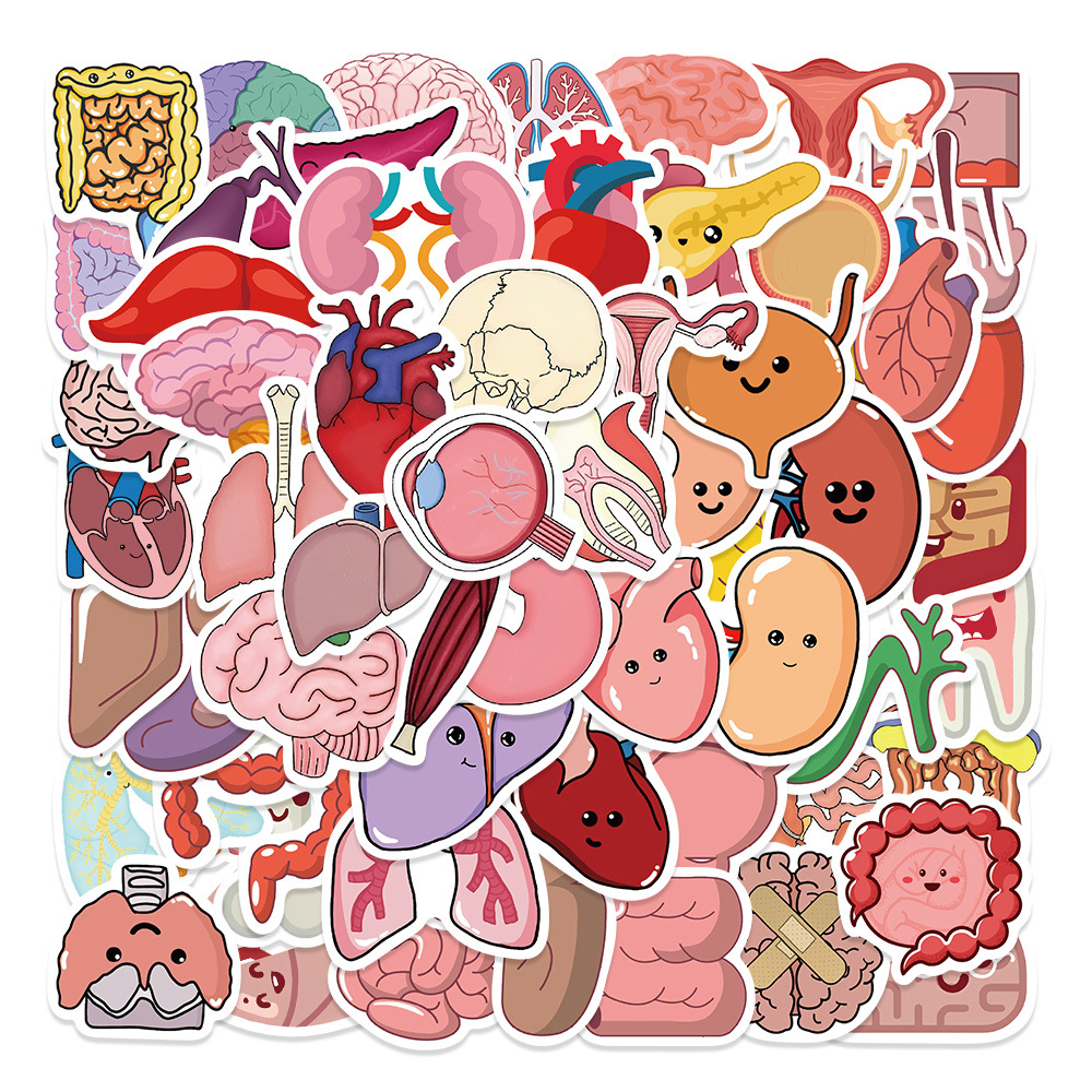 Human Anatomy Organ Brain Aesthetics Cute Funny Cartoon Decals Graffiti  Vinyl Waterproof Stickers Pack For Adults Teen Girl Suitcase Water Bottle  Diy Phone Laptop Computer Skateboard Luggage Temu Australia