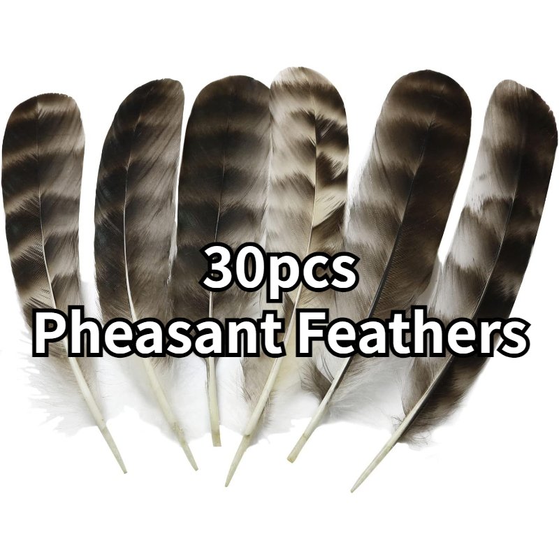 30Pcs Natural Turkey Feathers, 5.3-7 Inch Craft Feathers Pheasant for Hats,  3 