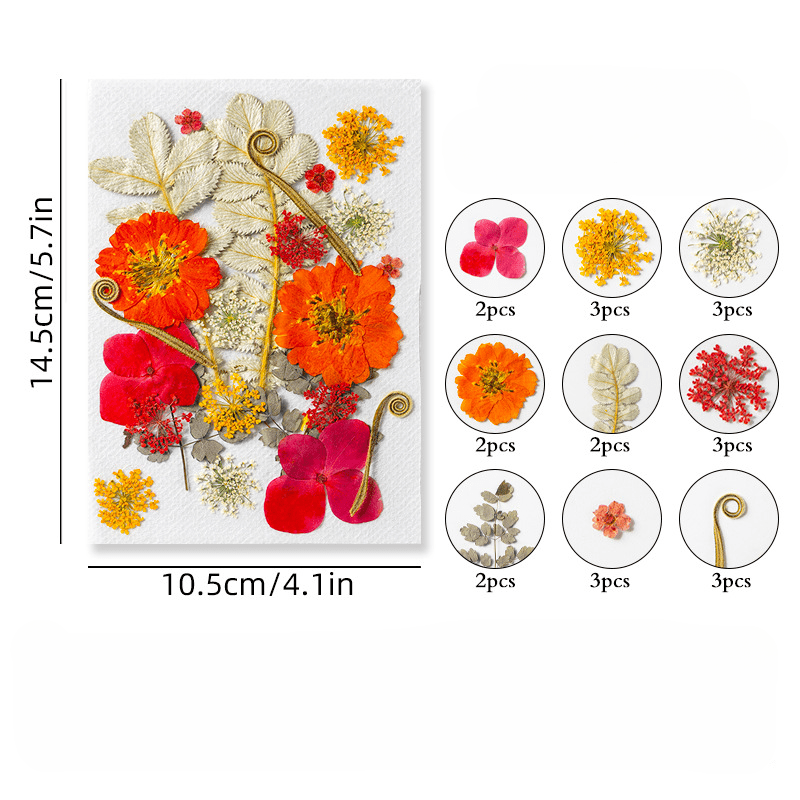 Dried Flowers for Resin Molds,Real Dried Pressed Flowers for Candle Making  Scrapbooking DIY Candle Decoration Resin Jewelry Crafts Making (01)
