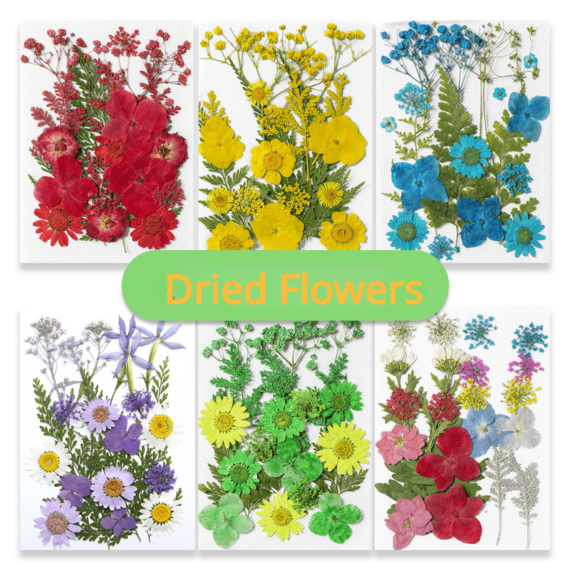 1 Dried Flowers for Resin , Natural Pressed Flowers Leaves for Crafts,  Candle,Jewelry Making, Embellishment, Nail, flower decor Red 