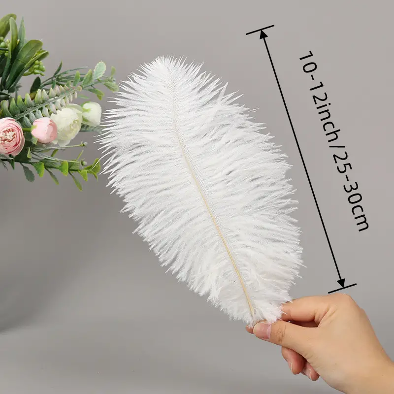 Natural Ostrich Feathers Plumas Wedding Party White - Temu