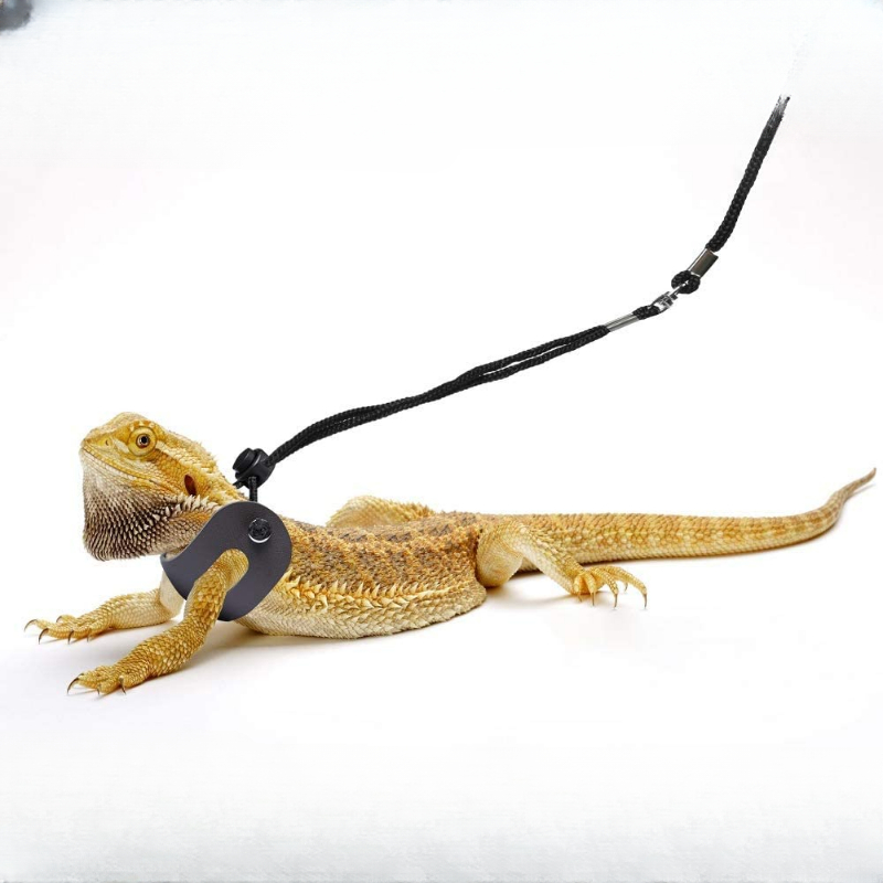 Accessories - Lizard Tail Belts - Camera Adjustable Strap