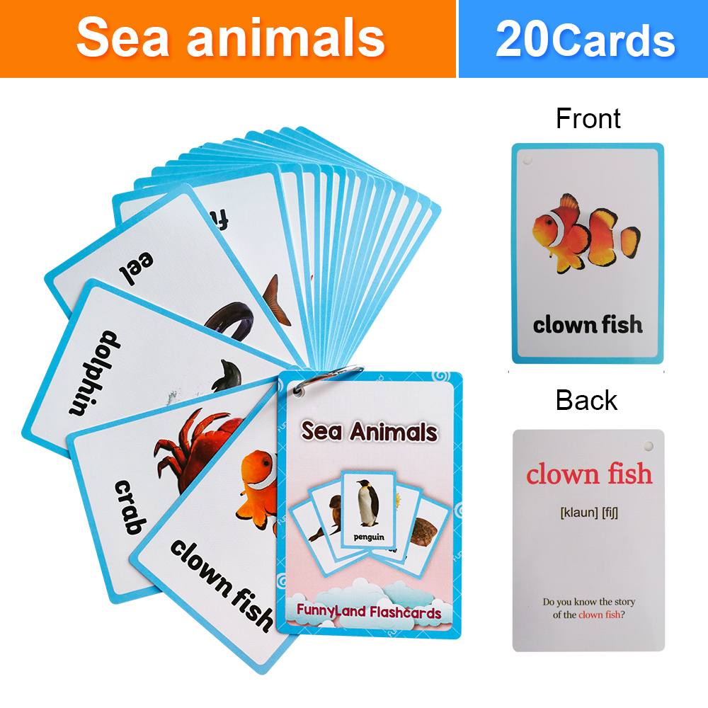 Fishing Literacy Card Teaching Aids Erasable English Cards - Temu