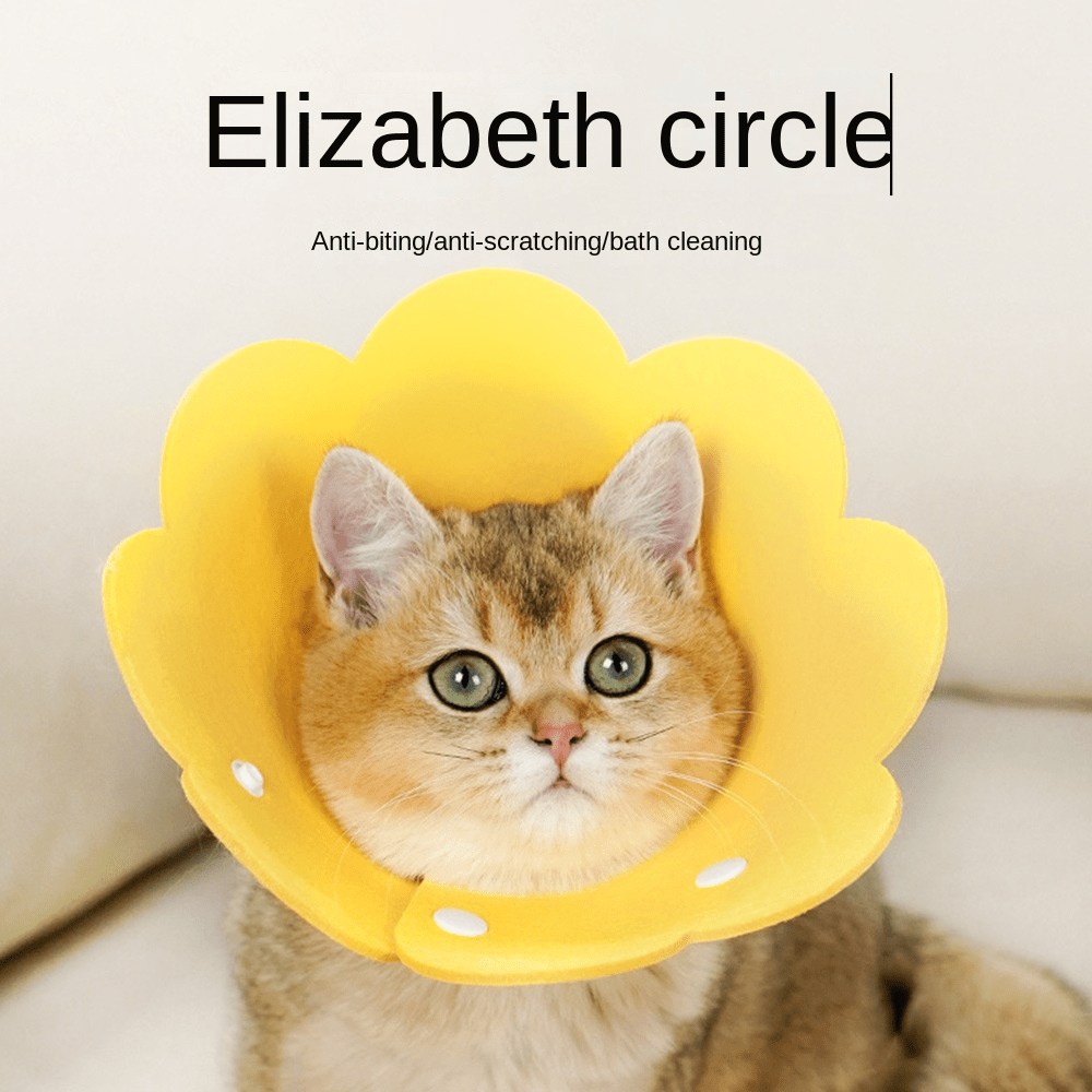 Kitten cone outlet collar