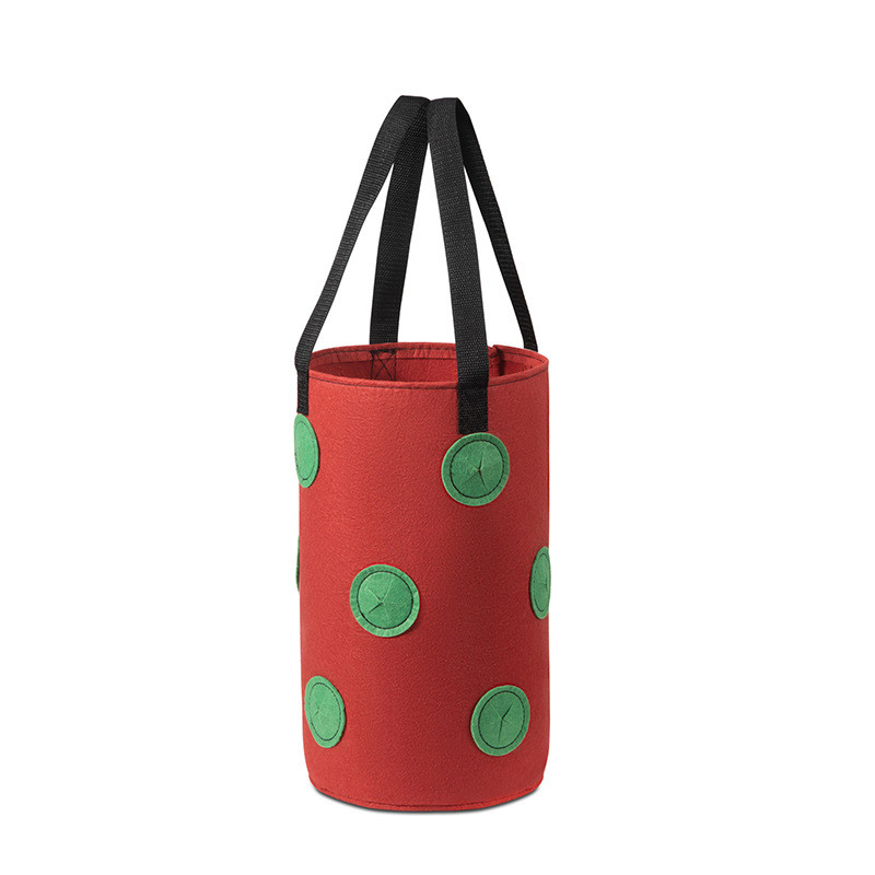 Hanging Plant Bag For Strawberry, Vertical Grow Bag For Vegetables