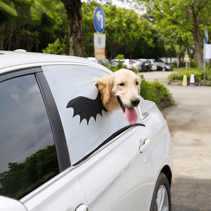 Pare-Soleil Voiture Chien