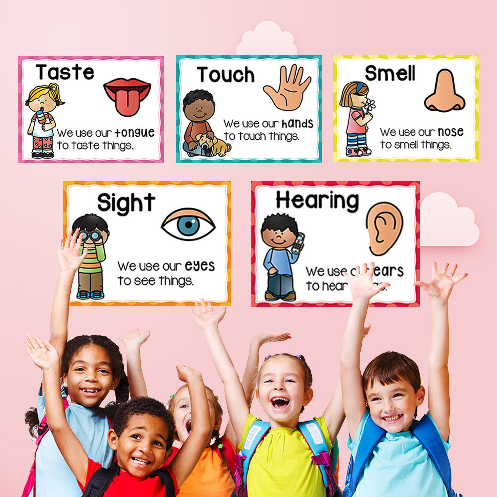 Five Senses Big Flashcards Posters Classroom Decoration - Temu Australia