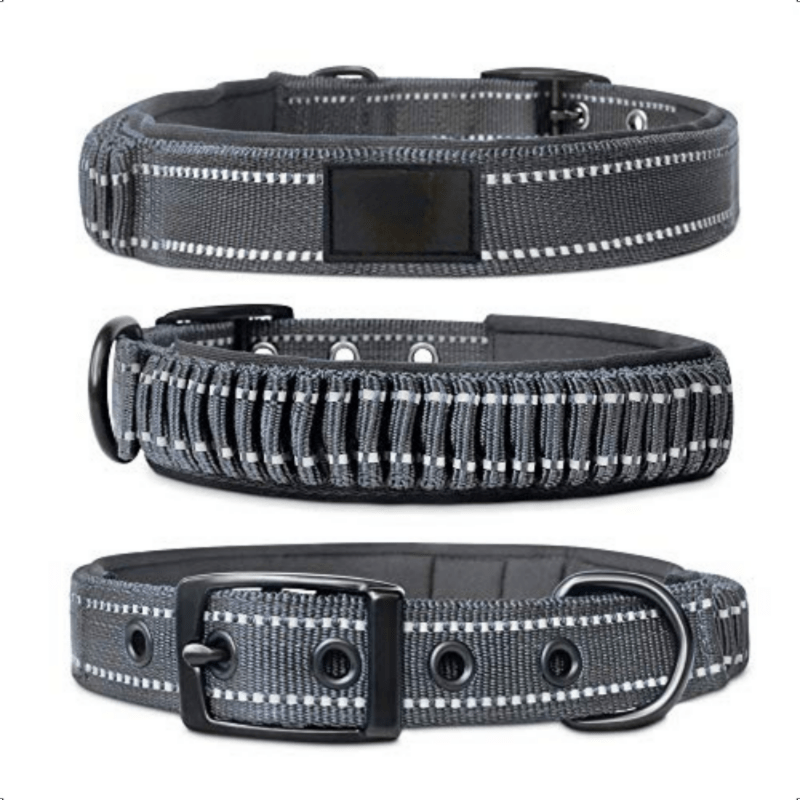 Stainless steel hotsell dog collar hardware