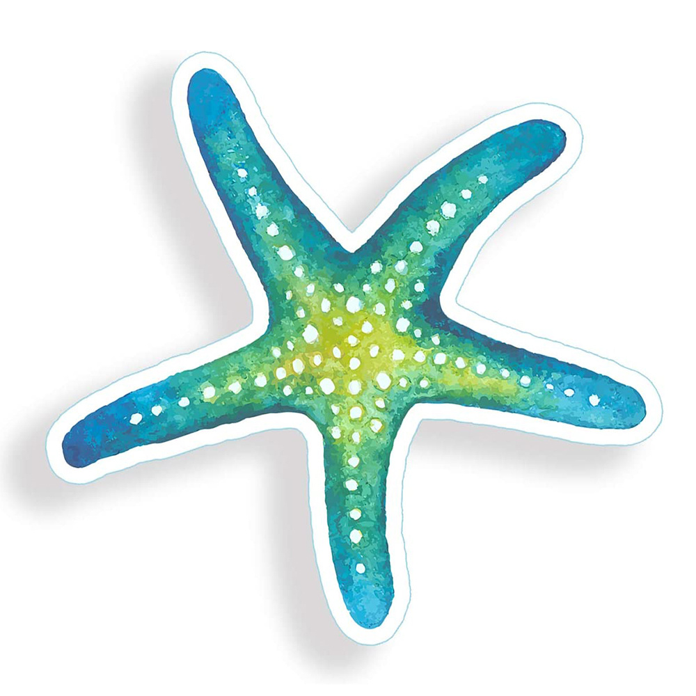 Blue Green Starfish Ocean Beach Sea Animal Star Fish Graphic