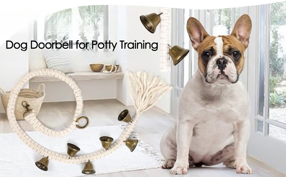 Potty training outlet with doggie door