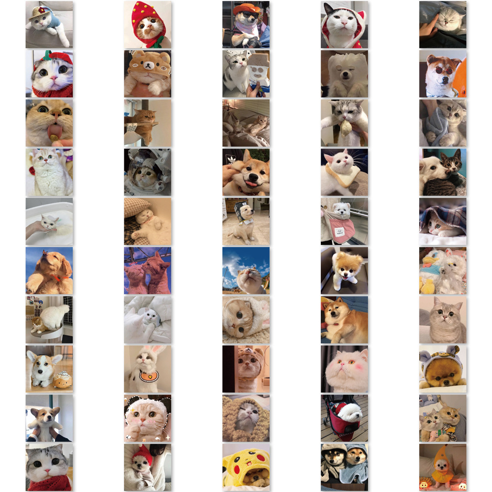 24 lustige Hunde Sachen Aufkleber mit verschiedenen coolen Sommer Hunden,  MATTE Papieraufkleber für Geschenke, Mitgebsel (ø 45mm; 6 x 4 Motive) 