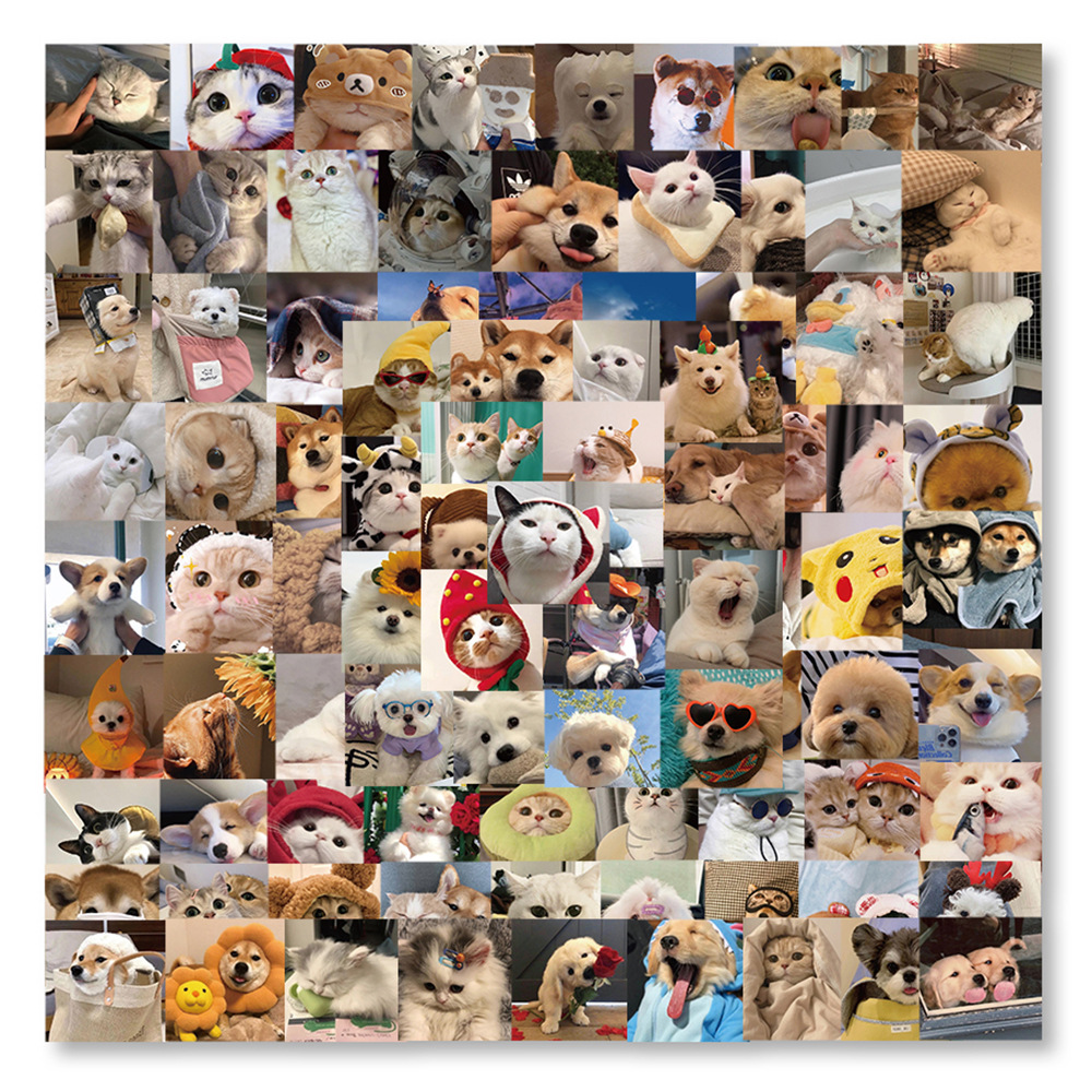 10/30/50 Stück Niedliche lustige Tier-Meme-Aufkleber Kawaii Katze Hund DIY  Laptop Sammelalbum Laptop Tagebuch Auto Wandtattoos Geschenk für Kinder  Spielzeug