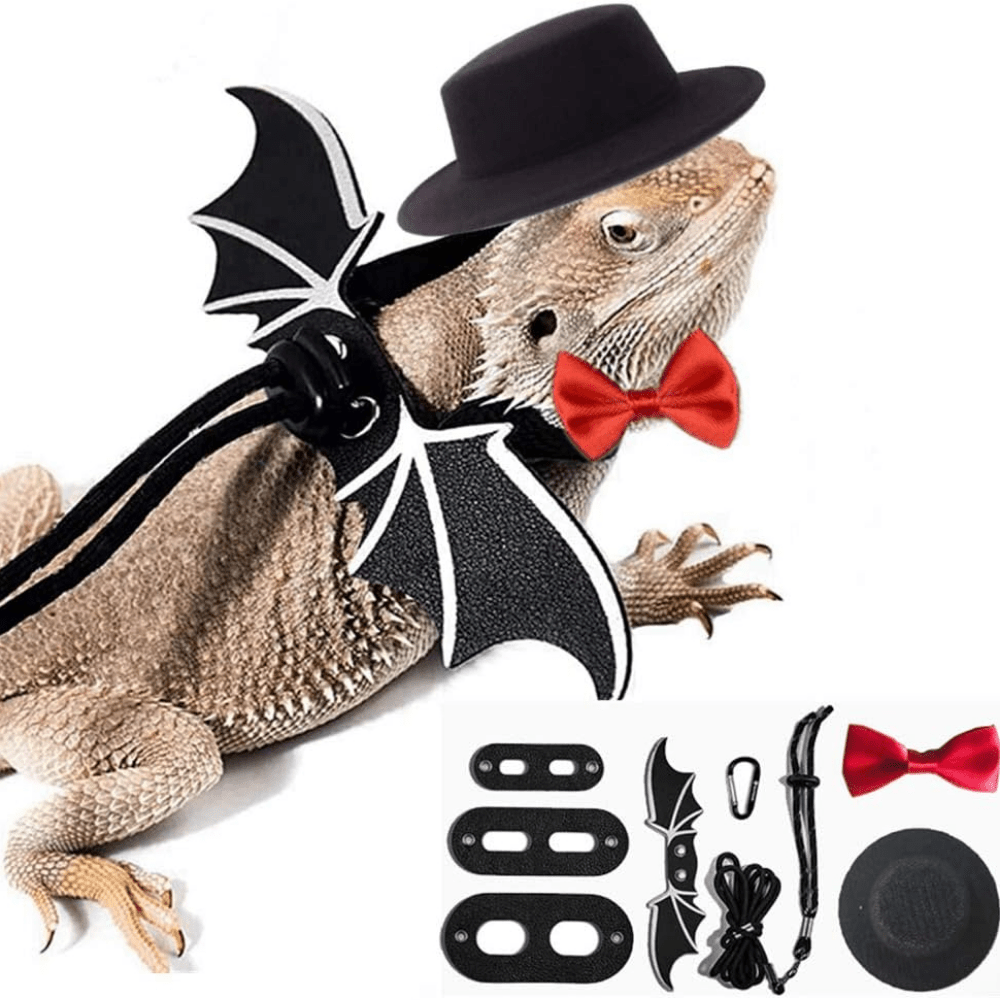 Bearded Dragon Bowtie Hat Lizard Leash with Harness Reptiles Small Pets  Animals