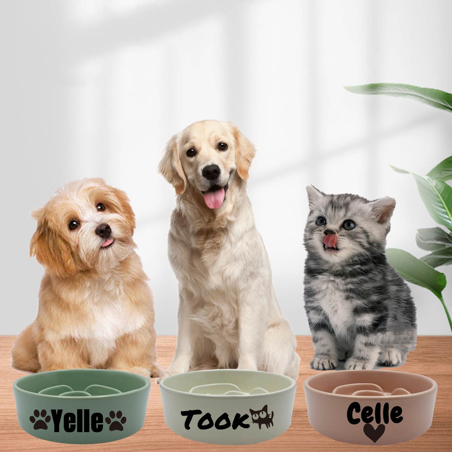 Custom Dog Bowls & Cat Bowls: Ceramic Pet Bowls