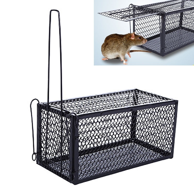 Loewten Mouse Mice Rat Rodent Animal Control Catch Bait Humane