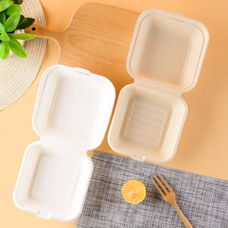 Disposable Bento Box Packaging  Packaging Lunch Box Disposable