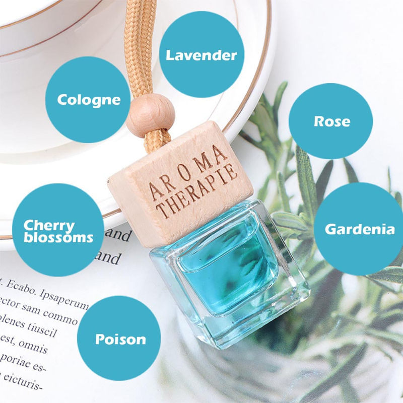 Mini Parfüm-Diffusor Auto Aroma therapie Glasflasche Neu  Duft-Pendent-Flasche