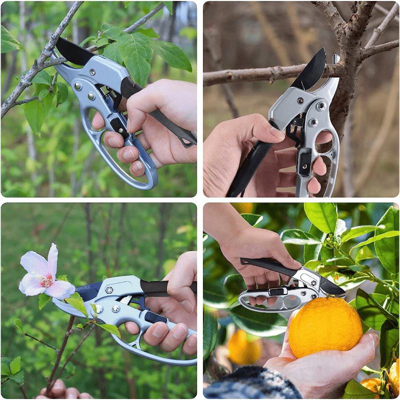 Portable Garden Stainless Pruning Shears Fruit Picking Scissors Household  Potted Trim Branches Small Gardening Tools