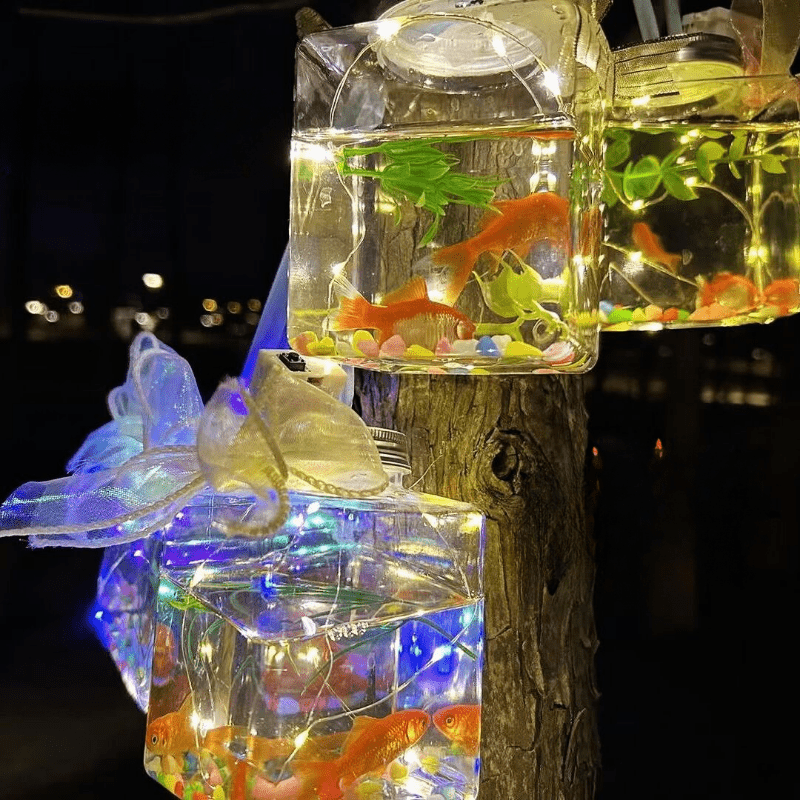 Leuchtende Dose, Kreatives Aquarium, Komplettes Materialset - Temu  Switzerland