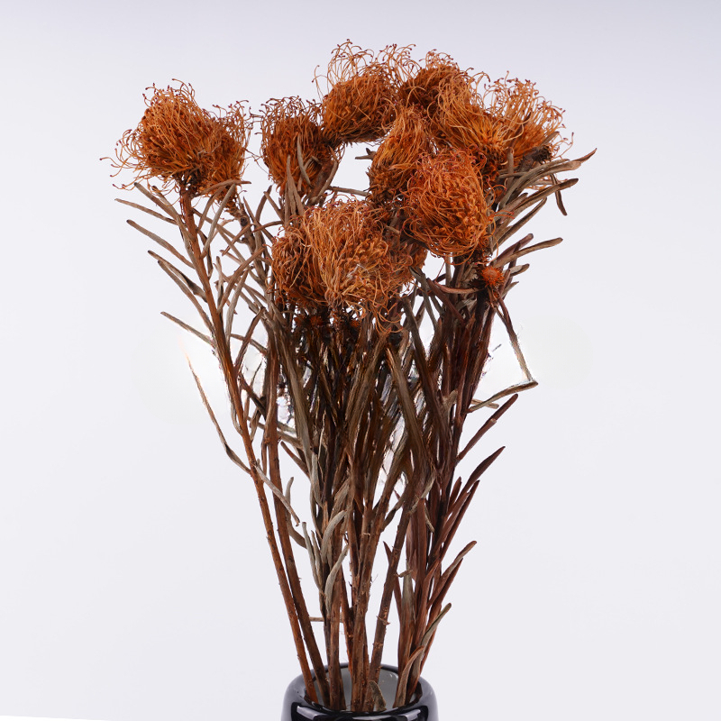 Dried Tumbleweed For Use as Room Decor