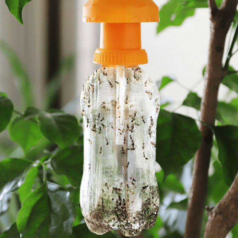 Bottle Insect Traps, Set of 6