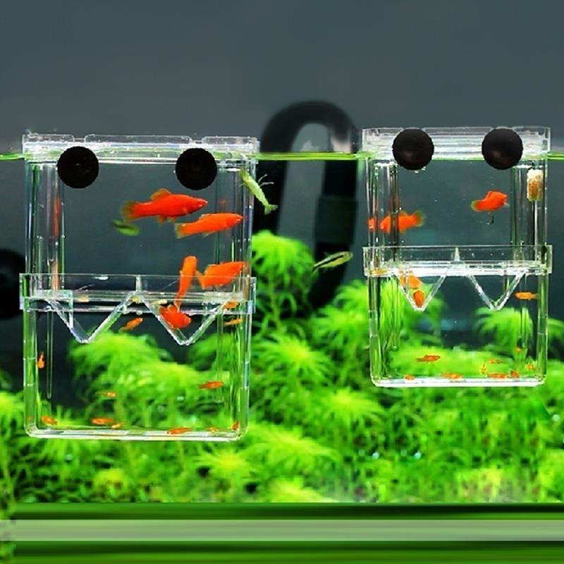 ULTECHNOVO 2pcs Box Fish Tank Isolation Box Small Container Fish