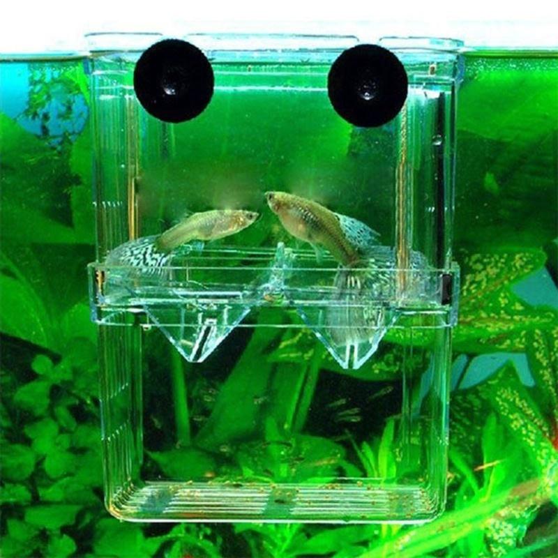 Aquarium Fish Breeder Box Durable Betta Fish Tank Fish - Temu