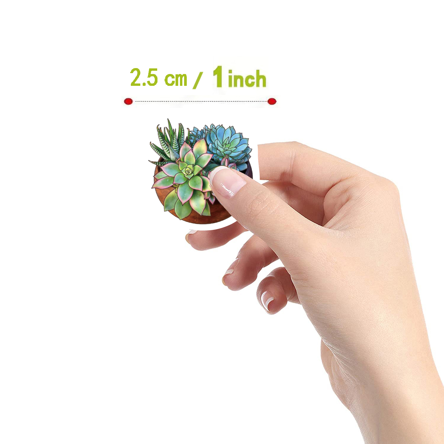 Succulent Plant Stickers