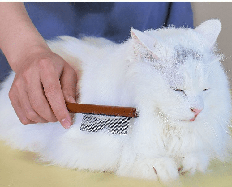 Pettine Rimozione Peli Animali Domestici Manico In Legno - Temu Italy