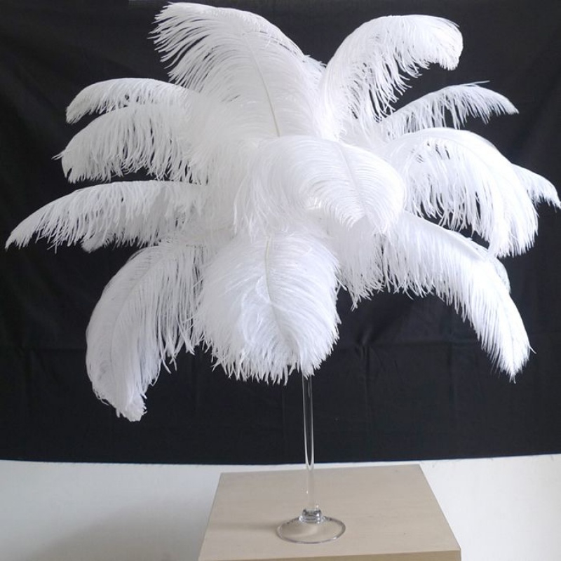 Mwoot 10 plumas de avestruz naturales, pluma de avestruz para boda, fiesta,  festival, mesa, centro de mesa, decoración (blanco, 25-30 cm) Vhermosa  MZQ-1013