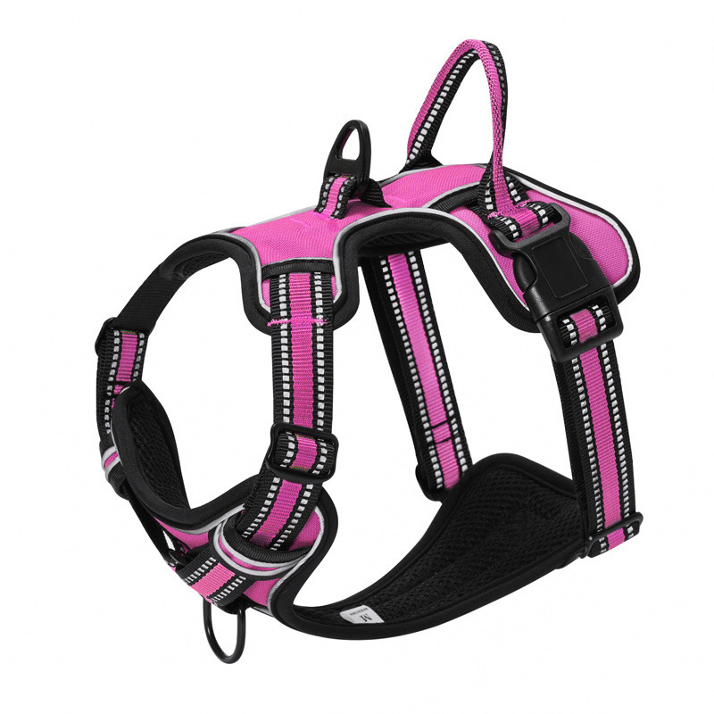 Mokcci dog sale harness