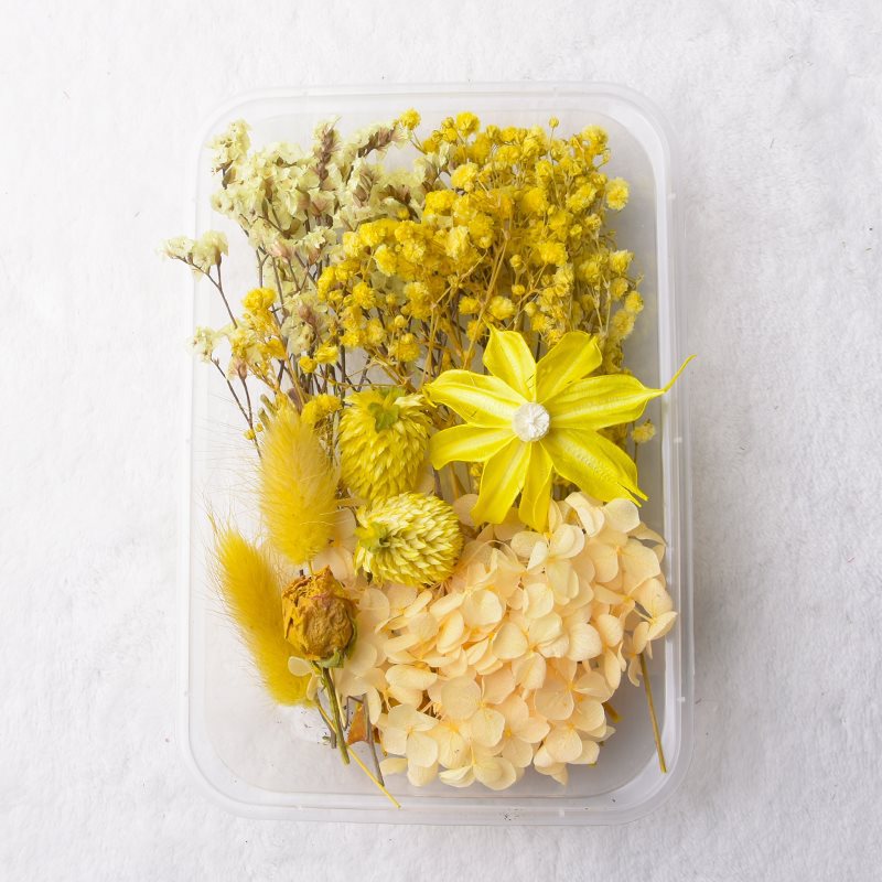 Dry Flowers Preserved Flowers Materials Epoxy Resin Candles DIY