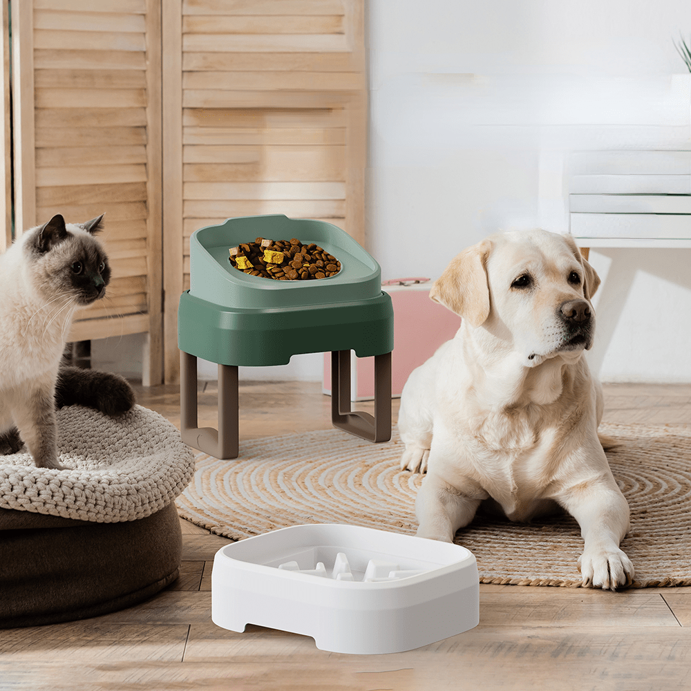 Elevated Cat Feeder Bowl With Stand Raised Stainless Steel - Temu