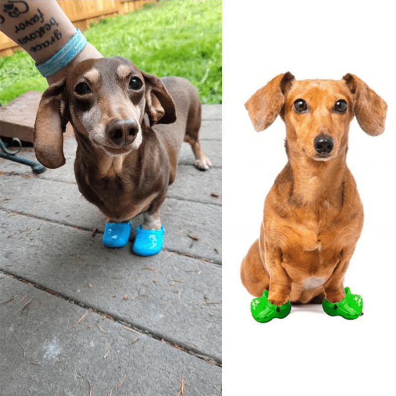 2pcs Set Pet Shoes For Dogs And Cats Breathable And Comfortable Dog Shoes  Cute Small Dog