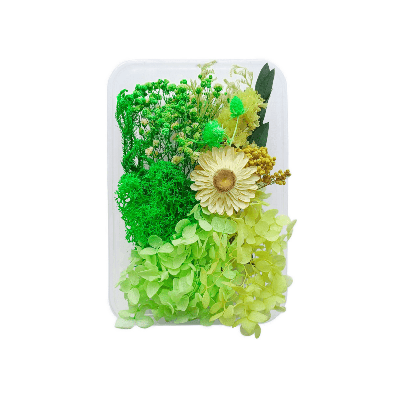 Real Dried Flower Resin Mold Fillings Uv Expoxy Flower For - Temu