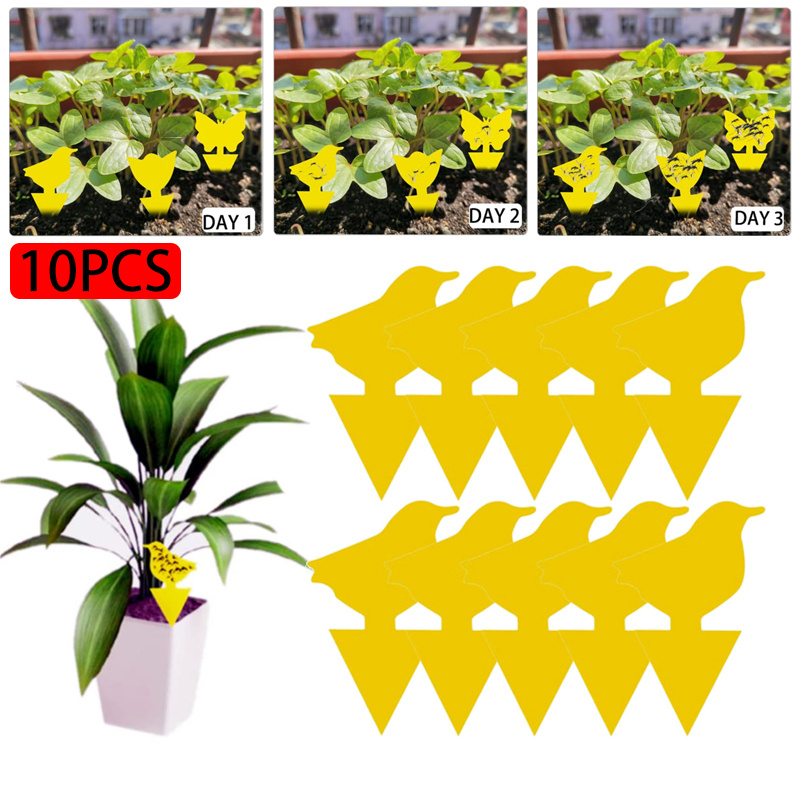 10pcs Sticky Traps Plant Trap for Fungus Gnat, Fruit Fly Traps for Mosquito  and Bug Indoor & Outdoor, Pest Insect Catcher Killer