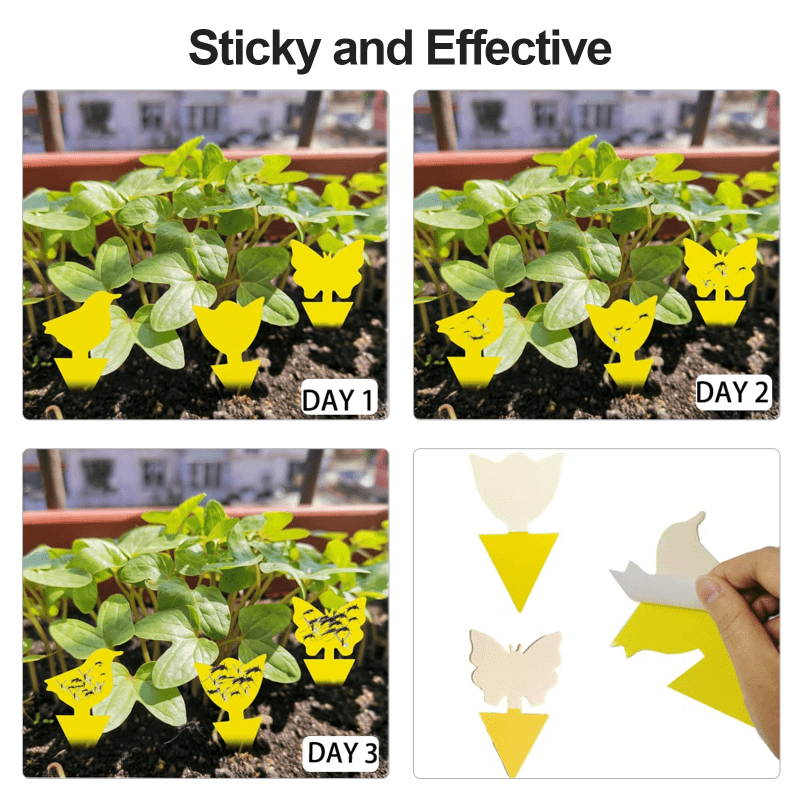 10pcs Sticky Traps Plant Trap for Fungus Gnat, Fruit Fly Traps for Mosquito  and Bug Indoor & Outdoor, Pest Insect Catcher Killer