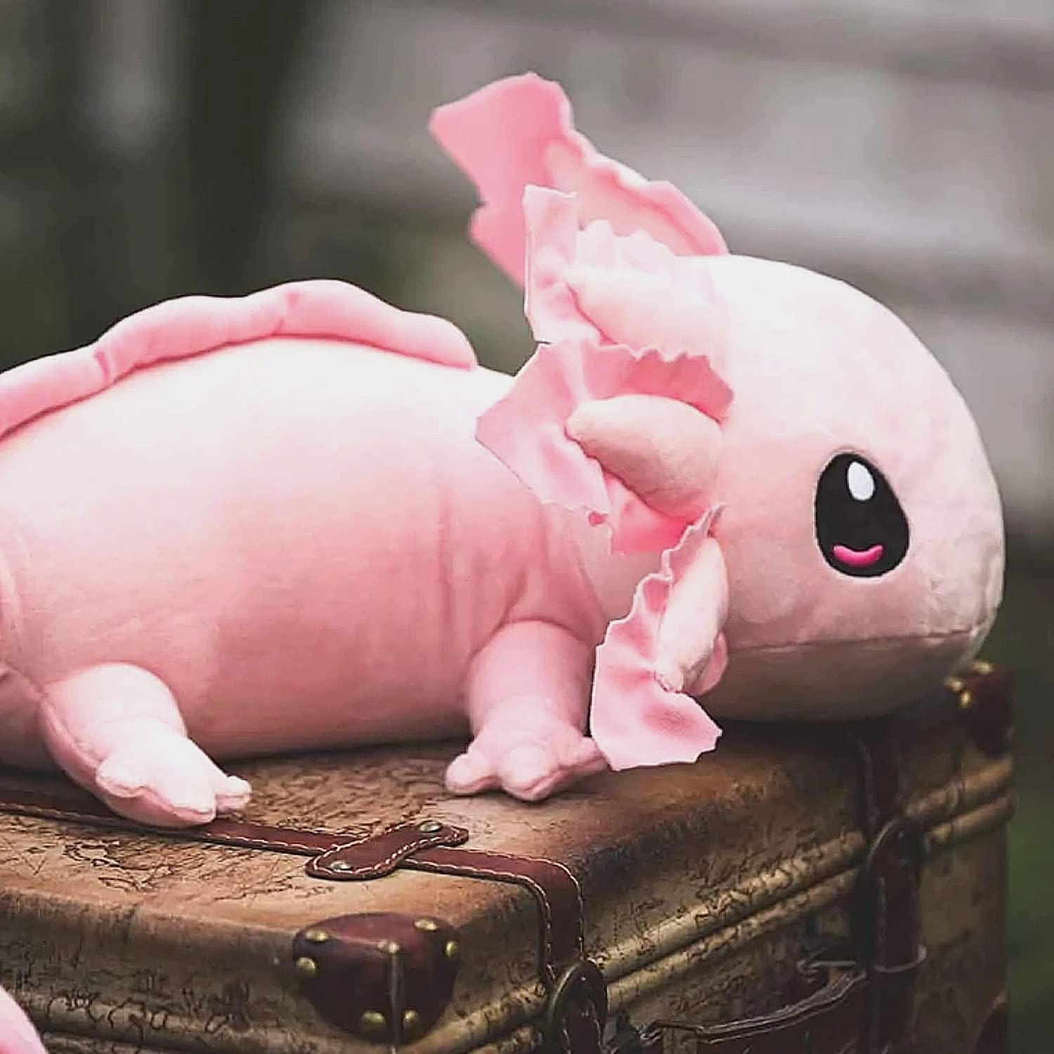 Cute Soft Axolotl Toys Cozy Pillow Plush Stuffed Animals - Temu