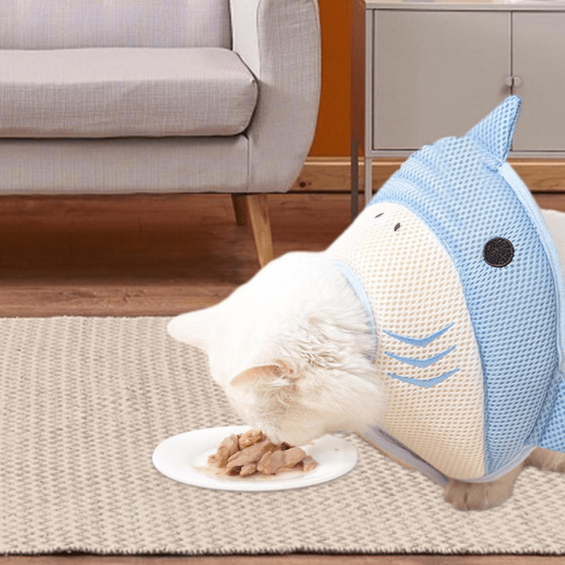 Shark best sale cat collar