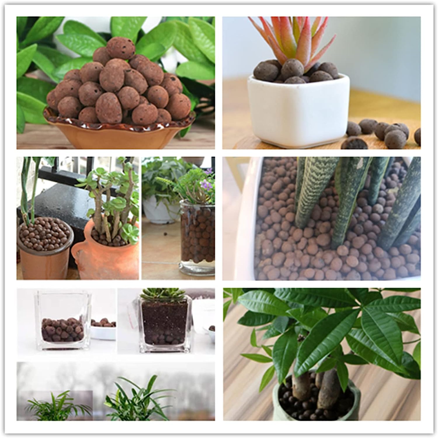 asia_mall_s.a - Arcilla expandida para plantas 🎍 . . .
