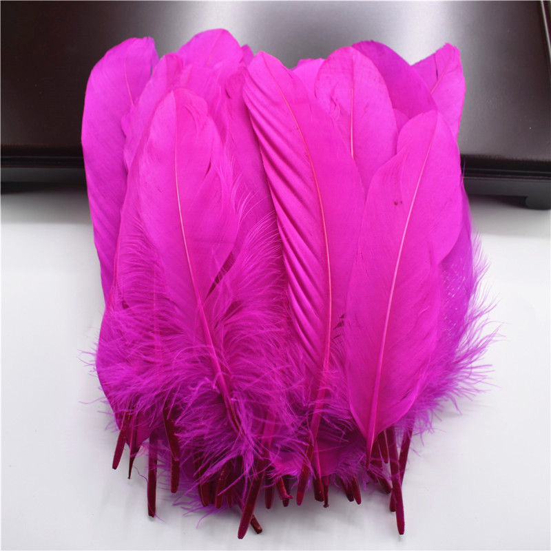 20pcs Various Red Feathers Goose Pheasant Feathers for Crafts