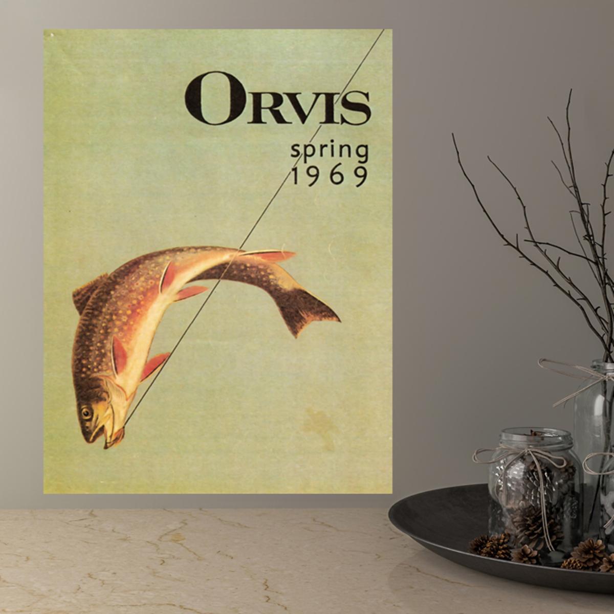 Canvas Poster Types Trout Flies Poster Wall Art Living Room - Temu Canada