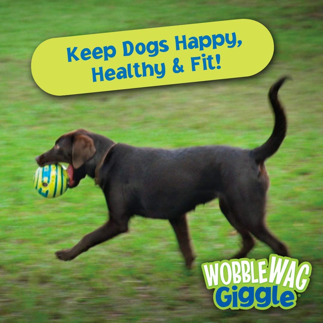 Wobble Giggle Interactive Dog Toys Ball, Squeaky Durable Wag Chewing Ball  for Training Teeth Cleaning Herding Balls Indoor Outdoor Safe Dog Gifts for