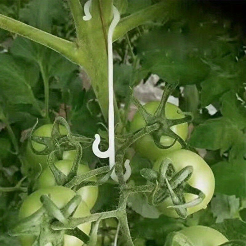 100pcs Durable Plastic Plant Support Hooks for Tomatoes, Vines, and Containers – Ideal for Indoor & Outdoor Gardening, Retro Style, Multi-Component Design for Sturdy Vegetable and Flower Growth, Plant Accessories