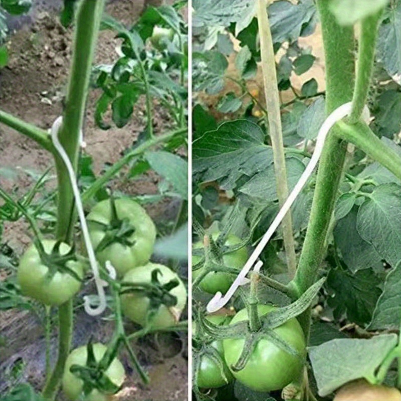 100pcs Durable Plastic Plant Support Hooks for Tomatoes, Vines, and Containers – Ideal for Indoor & Outdoor Gardening, Retro Style, Multi-Component Design for Sturdy Vegetable and Flower Growth, Plant Accessories